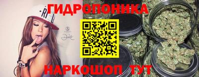 герыч Кингисепп
